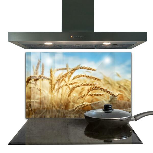 Kitchen splashback Grain gifts of mother nature