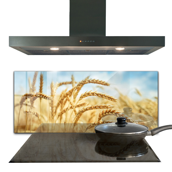 Kitchen splashback Grain gifts of mother nature