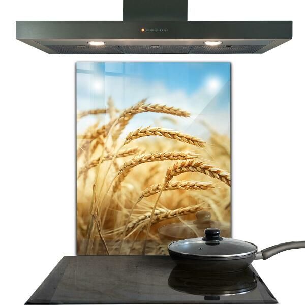 Kitchen splashback Grain gifts of mother nature