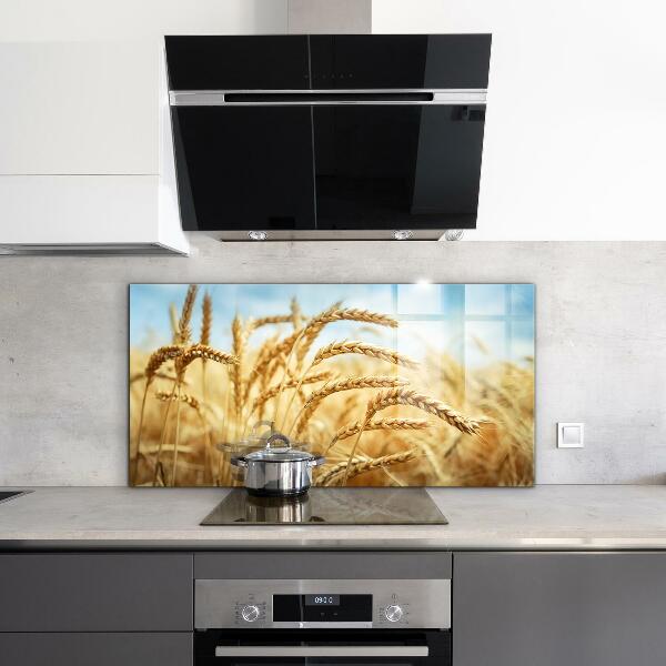 Kitchen splashback Grain gifts of mother nature