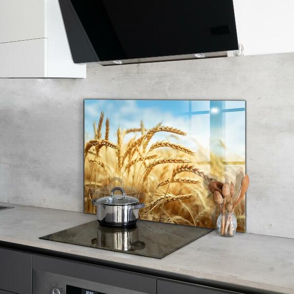 Kitchen splashback Grain gifts of mother nature