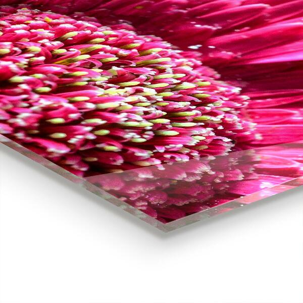 Kitchen splashback Pink flower nature details