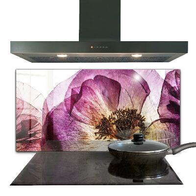 Glass cooker splashbacks - Flowers and plants