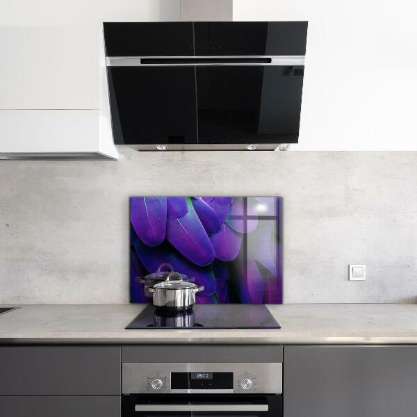 Oven splashback Exotic bird feathers