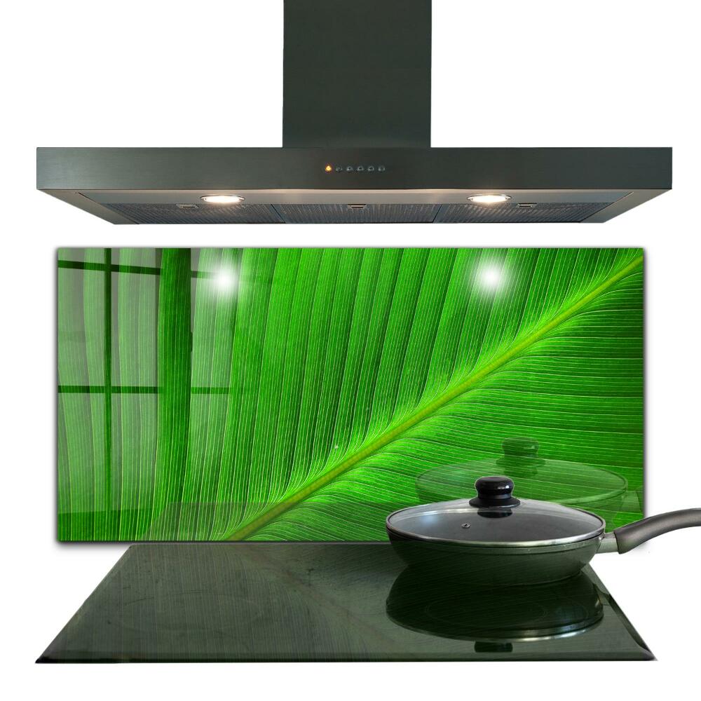 Kitchen splashback Tropical palm leaf