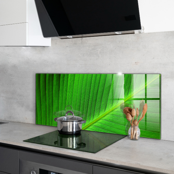 Kitchen splashback Tropical palm leaf