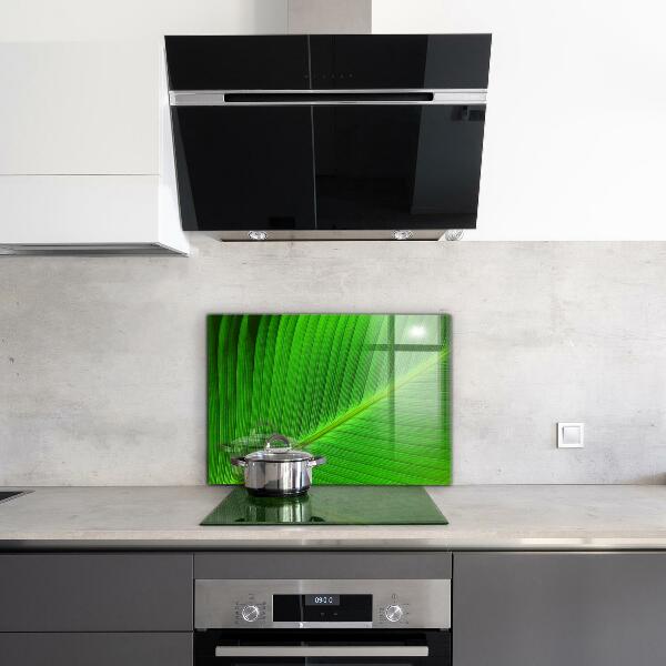Kitchen splashback Tropical palm leaf