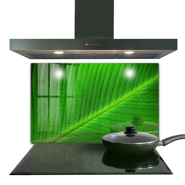 Kitchen splashback Tropical palm leaf