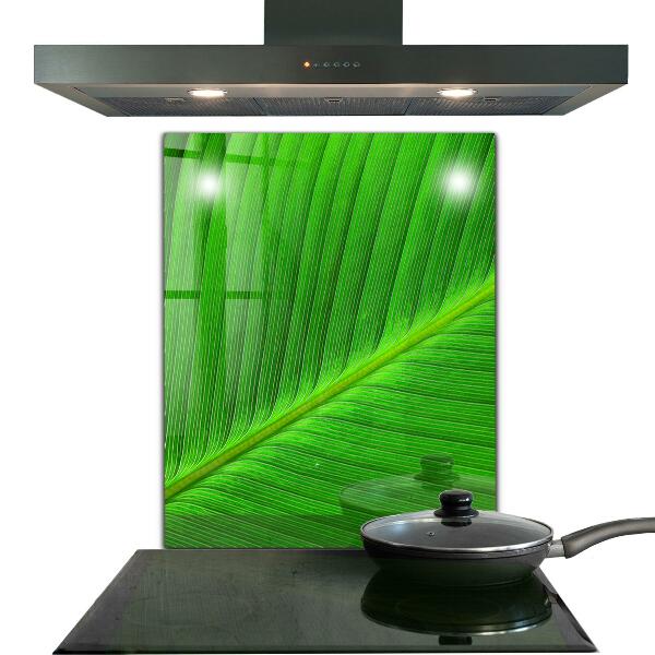 Kitchen splashback Tropical palm leaf