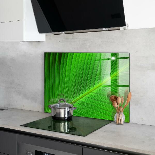 Kitchen splashback Tropical palm leaf