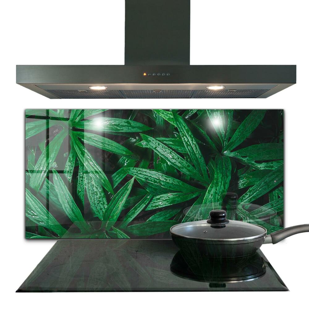 Kitchen splashback Exotic jungle leaves