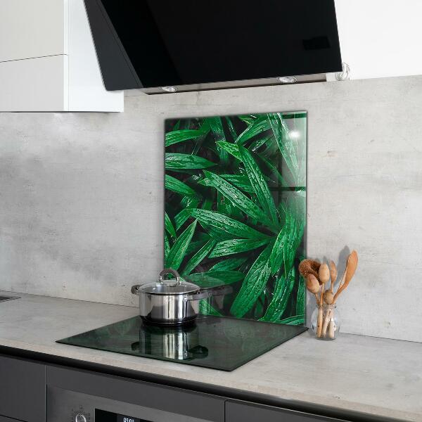 Kitchen splashback Exotic jungle leaves