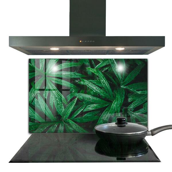 Kitchen splashback Exotic jungle leaves