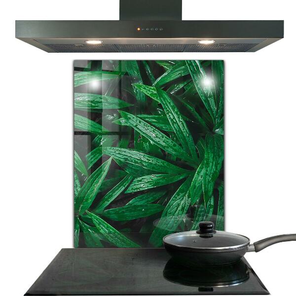 Kitchen splashback Exotic jungle leaves