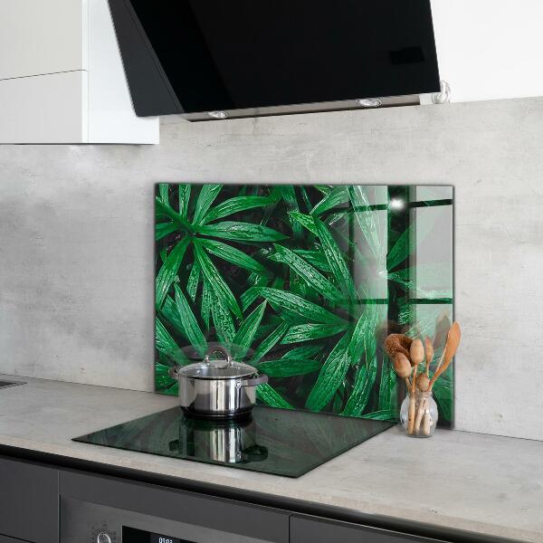 Kitchen splashback Exotic jungle leaves