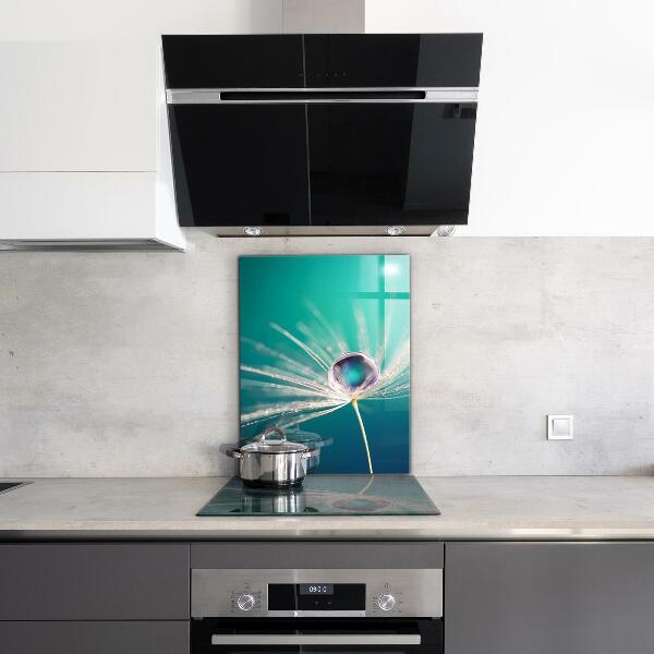 Kitchen splashback Dandelion with a dew drop