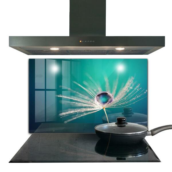 Kitchen splashback Dandelion with a dew drop