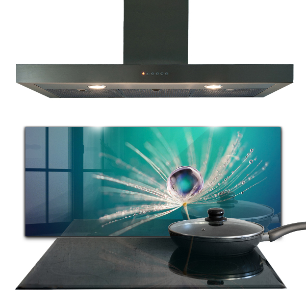 Kitchen splashback Dandelion with a dew drop