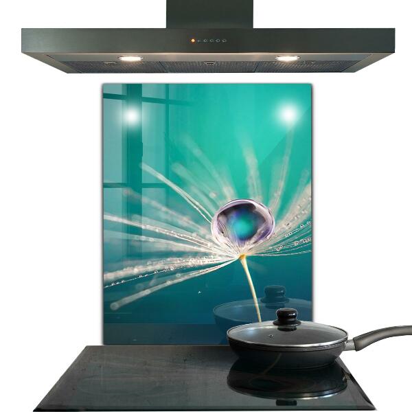 Kitchen splashback Dandelion with a dew drop