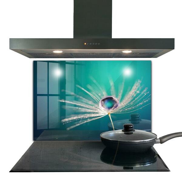 Kitchen splashback Dandelion with a dew drop