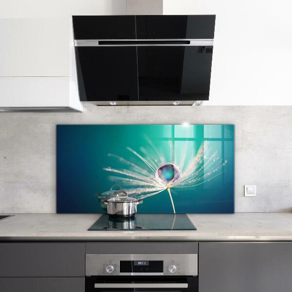 Kitchen splashback Dandelion with a dew drop