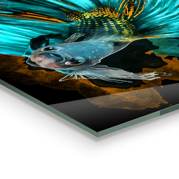 Kitchen splashback Tropical fighting fish