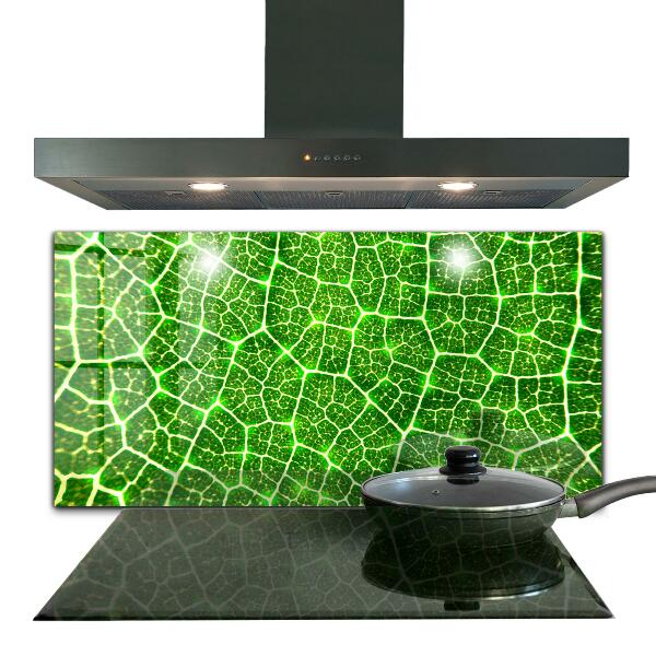 Kitchen splashback The power of green botany