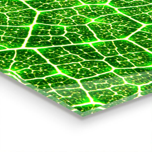 Kitchen splashback The power of green botany