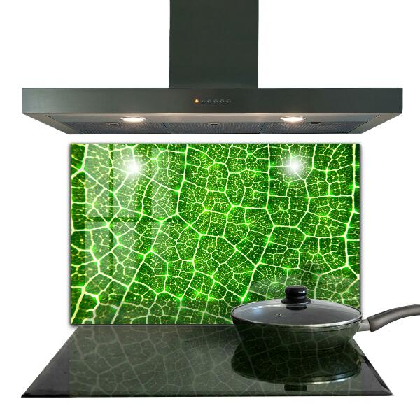 Kitchen splashback The power of green botany