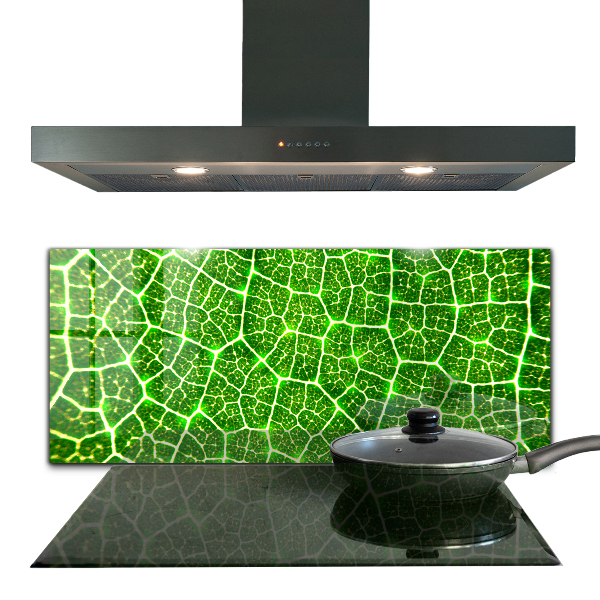 Kitchen splashback The power of green botany