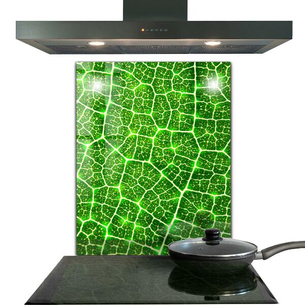 Kitchen splashback The power of green botany