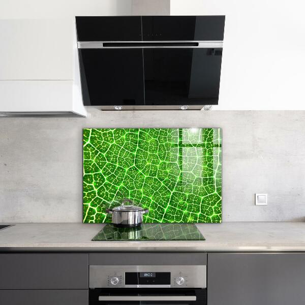 Kitchen splashback The power of green botany