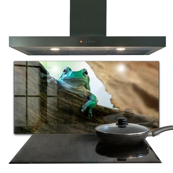 Kitchen splashback African frog portrait