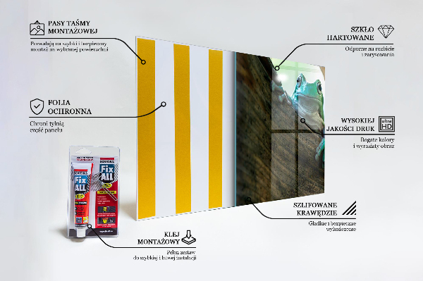 Kitchen splashback African frog portrait