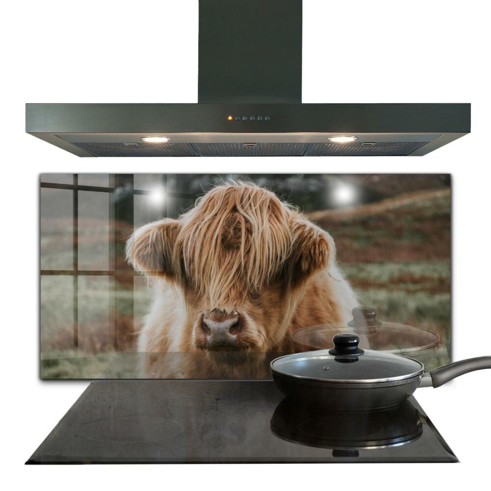 Kitchen splashback Highland cottage style cow