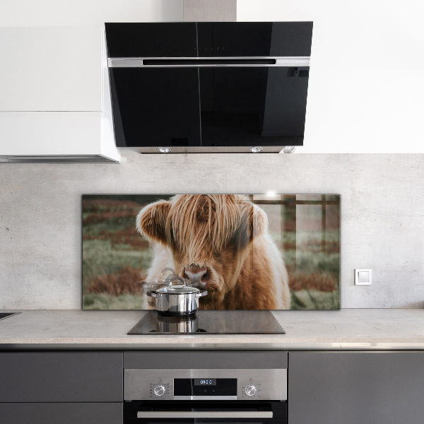 Kitchen splashback Highland cottage style cow