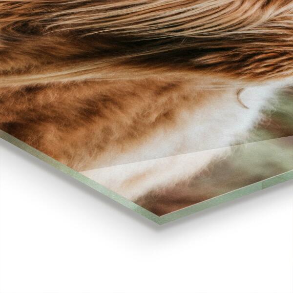 Kitchen splashback Highland cottage style cow