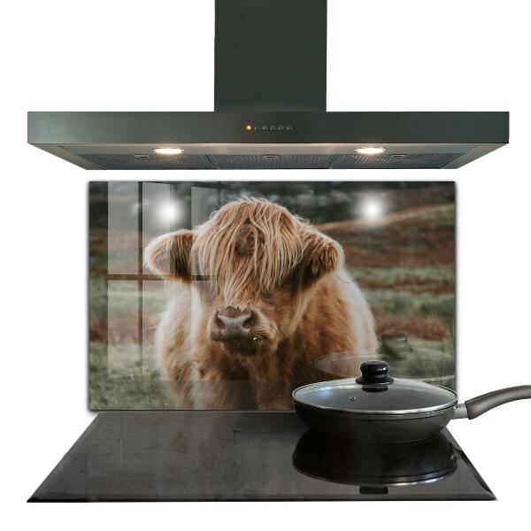 Kitchen splashback Highland cottage style cow
