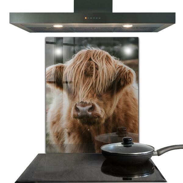 Kitchen splashback Highland cottage style cow