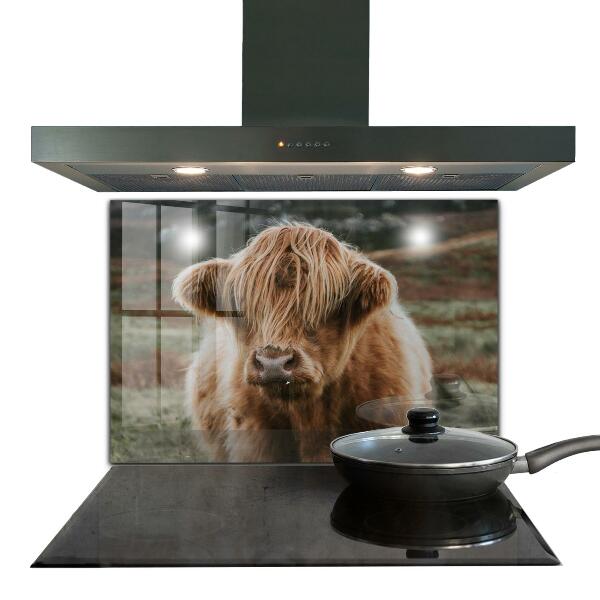 Kitchen splashback Highland cottage style cow