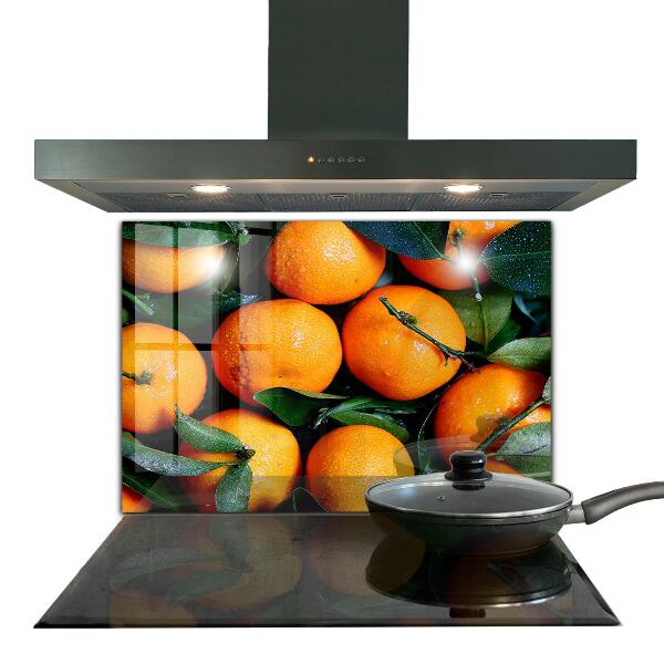 Kitchen splashback Juicy sicilian oranges