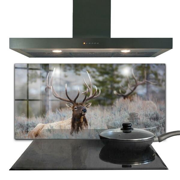 Kitchen splashback Deer wildlife