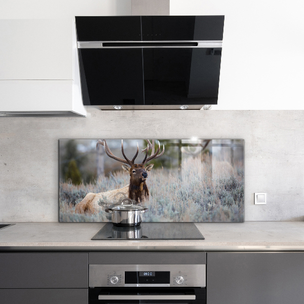 Kitchen splashback Deer wildlife