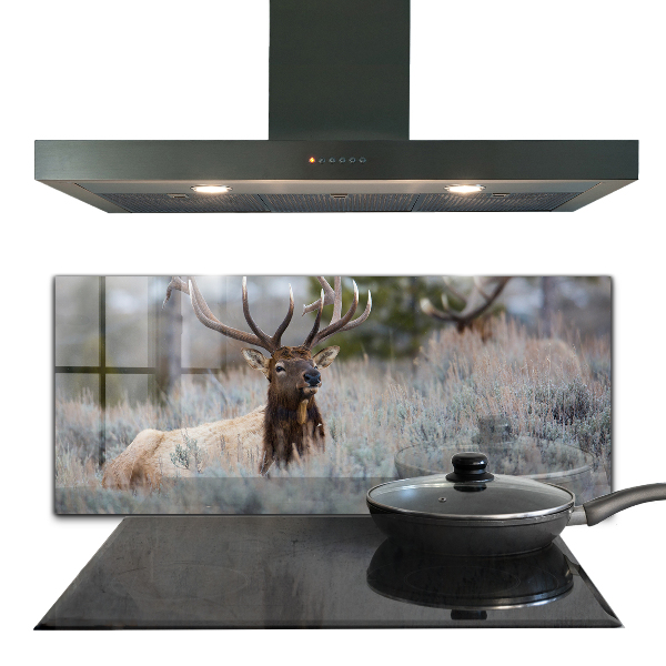 Kitchen splashback Deer wildlife