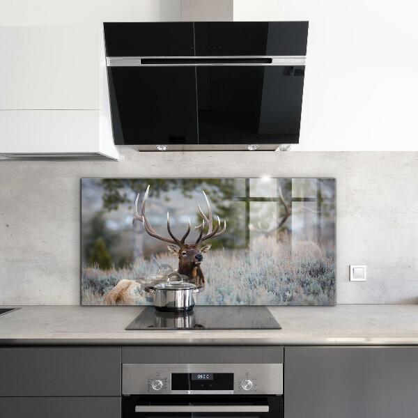 Kitchen splashback Deer wildlife