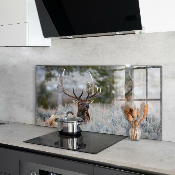 Kitchen splashback Deer wildlife