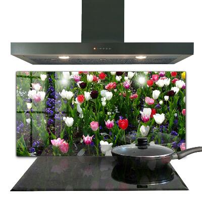 Glass cooker splashbacks - Flowers and plants