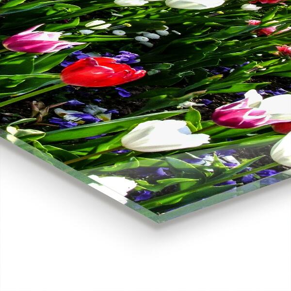 Kitchen splashback Meadow summer flowers