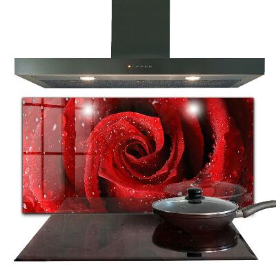Kitchen splashback Dew drops on a red rose