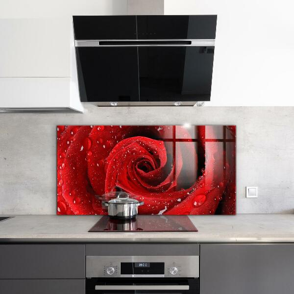 Kitchen splashback Dew drops on a red rose